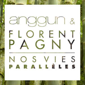 Nos vies parallèles - Anggun (Ft. Florent Pagny)