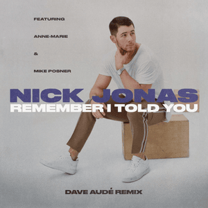 Remember I Told You (Dave Audé Remix) - Nick Jonas (Ft. Anne-Marie & Mike Posner)