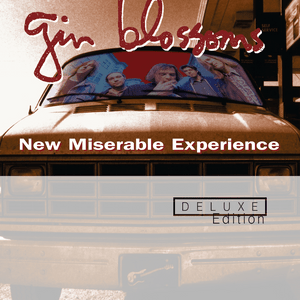 Back of a Car - Gin Blossoms