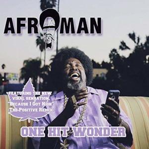 Because I Got High (Positive Remix) - Afroman