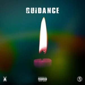 Guidance - Marc Vinyls