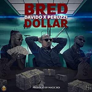 Dollar - B Red (Artist) (Ft. Davido & Peruzzi)