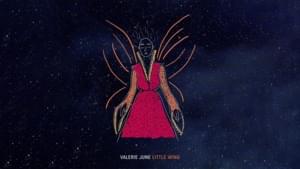 Little Wing - Valerie June