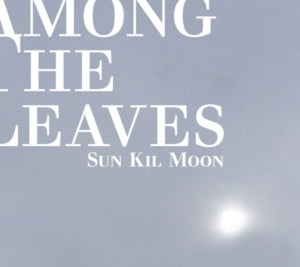 The Moderately Talented Yet Attractive Young Woman vs. the Exceptionally Talented Yet Not So Attractive Middle Aged Man - Sun Kil Moon