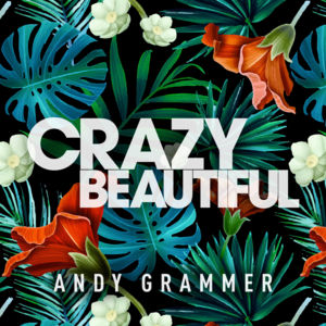 I Choose You - Andy Grammer