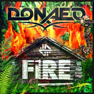 Fire - Donae'O (Ft. Fuse ODG & Mista Silva)