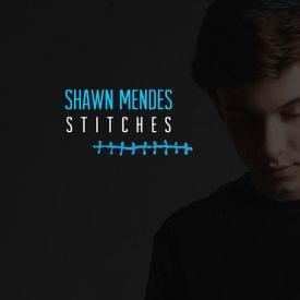 Shawn Mendes - Stitches (Tradução em Português) - Lyrxo Brasil Traduções