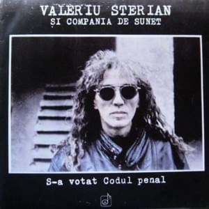 Vom fi ce-am fost (Dar nu mai mult decât atât) - Valeriu Sterian