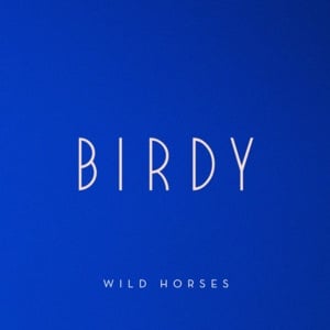 Wild Horses - Birdy