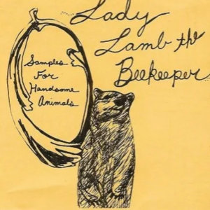 Antique Shop - Lady Lamb