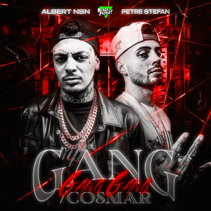 GANG GANG GANG / Coșmar - AlbertNBN & Petre Ștefan