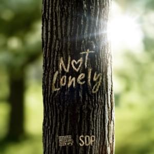 Not Lonely - Gestört aber GeiL & SDP