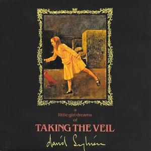 Taking the Veil - David Sylvian