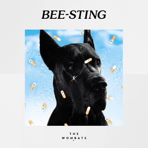 Bee-Sting - The Wombats