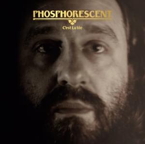 These Rocks - Phosphorescent