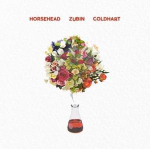 Last Time - Lil Zubin, Cold Hart & Horse Head