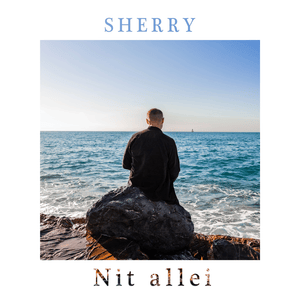 Nit allei - Sherry_Musik