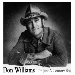 Amanda (Re-Recorded) - Don Williams