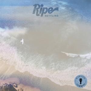 Settling - Acoustic Version - Ripe