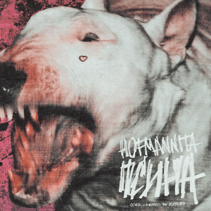 Псина (Dog) - HOFMANNITA