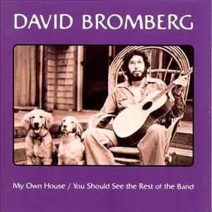 Georgia on My Mind - David Bromberg