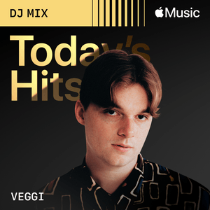 Feel So Good (veggi Remix) [Mixed] - Ma$e