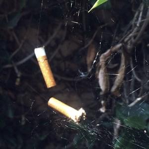PEARL SILK WEBS - Craig Xen (Ft. OmenXIII)