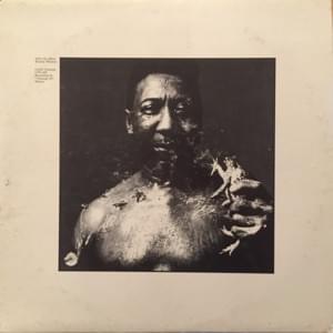 Blues and Trouble - Muddy Waters