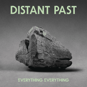 Distant Past - Everything Everything