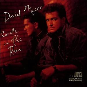 The Water Is Fine - David Meece