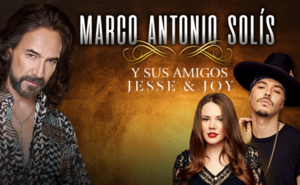 Si No Te Hubieras Ido - Jesse & Joy