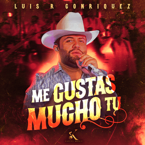 Me Gustas Mucho Tu - Luis R Conriquez