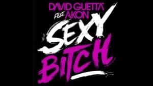 David Guetta ft. Akon - Sexy Bitch (Türkçe Çeviri) - Lyrxo Türkçe Çeviri