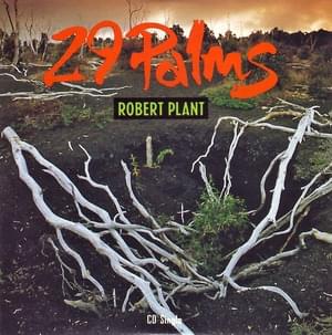 29 Palms - Robert Plant