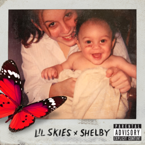 Stop the Madness - Lil Skies (Ft. Gunna)