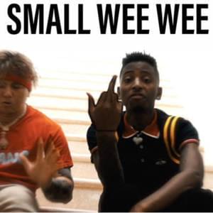 Small WeeWee (Remix) - FunnyMike (Ft. Supreme Patty)