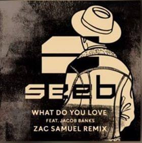 What Do You Love (Zac Samuel Remix) - Seeb (Ft. Jacob Banks)