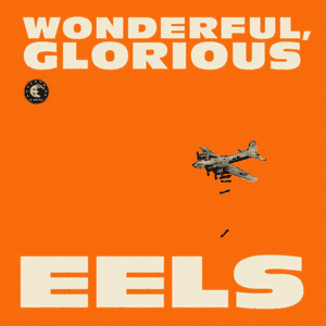 Your Mama Warned You - Eels