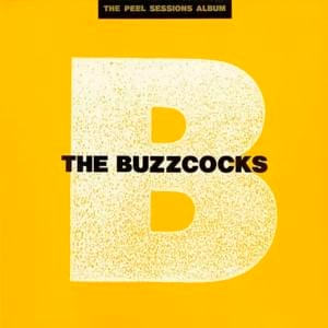 Moving Away From The Pulsebeat (John Peel Show) - Buzzcocks