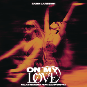 On My Love (Niklas Dee Remix) - Zara Larsson & David Guetta