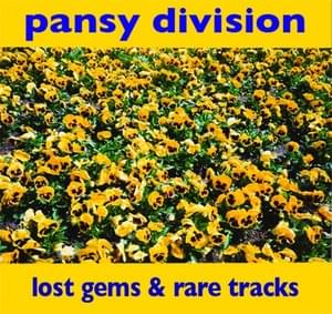 Son of a Preacher Man - Pansy Division