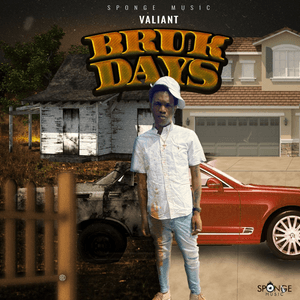 Bruk Days - Valiant