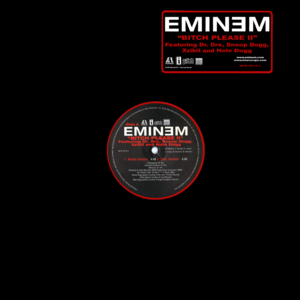 Bitch Please II - Eminem (Ft. Dr. Dre, Nate Dogg, Snoop Dogg & Xzibit)