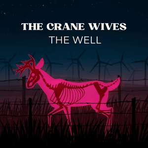 The Well - The Crane Wives