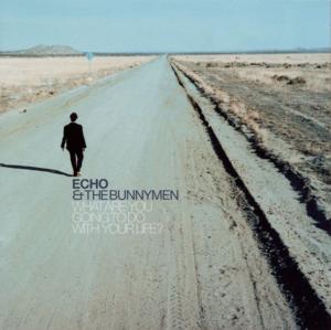 Lost on You - Echo & the Bunnymen