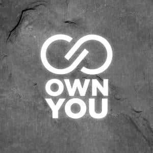 Own You - Roomie