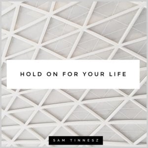 Hold On For Your Life - Tommee Profitt (Ft. Sam Tinnesz)