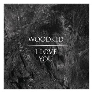 I Love You (Booka Shade Remix) - Woodkid