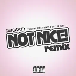 Not Nice (Remix) - XUITCASECITY & Pink Sweat$ (Ft. Devvon Terrell)