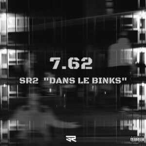 SR2 “DANS LE BINKS” - 7.62 (BEL)